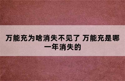 万能充为啥消失不见了 万能充是哪一年消失的